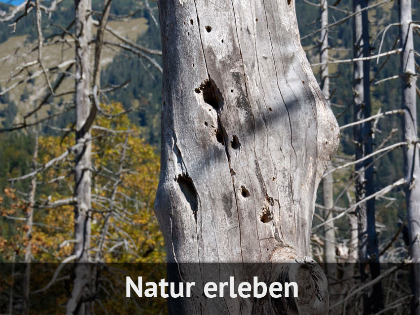 Natur erleben