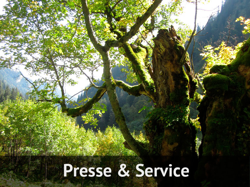 Presse und Service