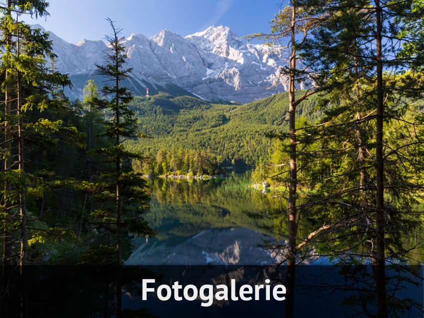 Fotogalerie