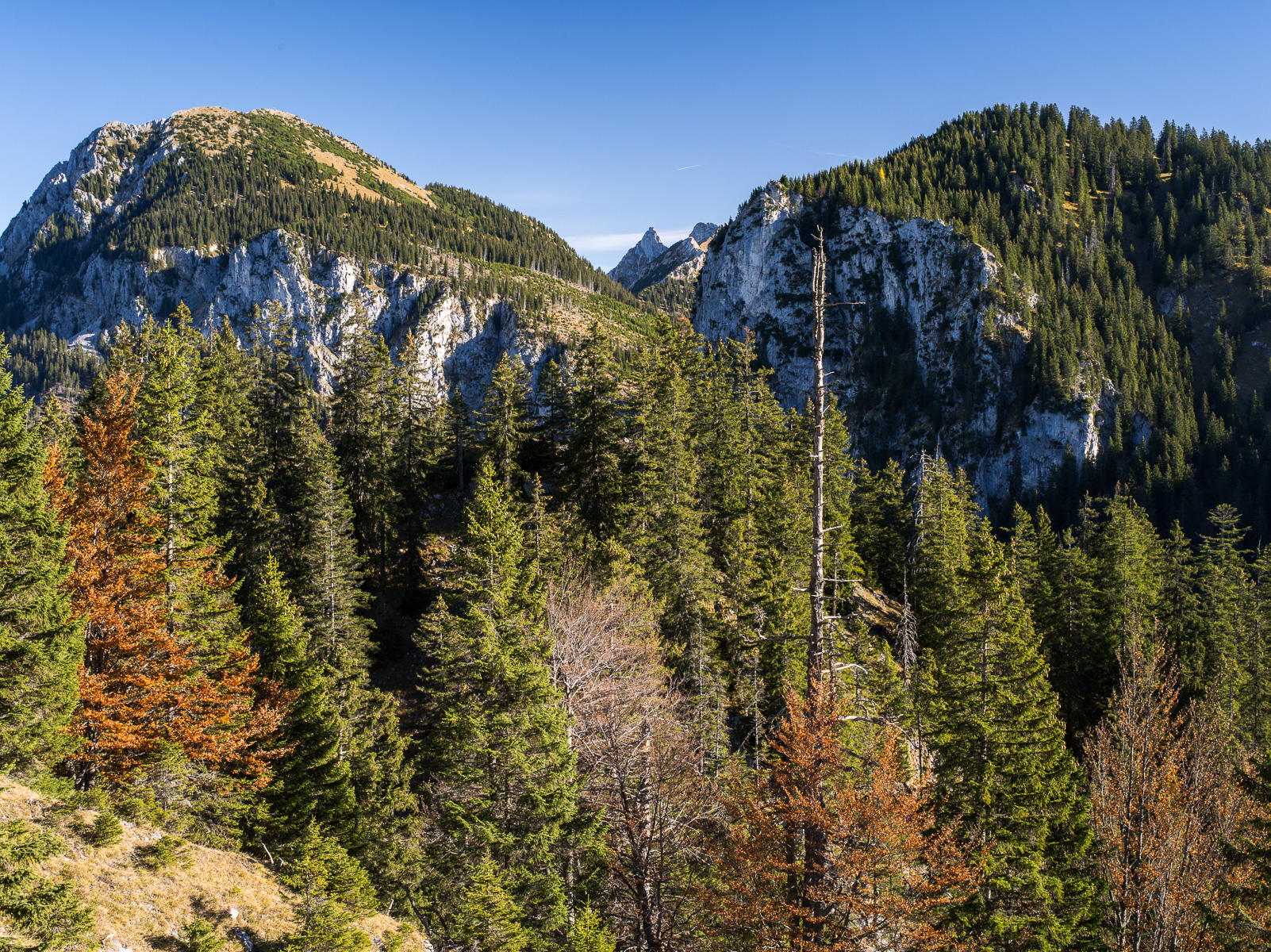 Bergstimmung Ammergebirge © H. Stadelmann